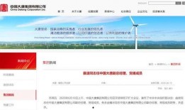 大唐集团爆料新闻最新情况,揭秘企业变革与发展动态